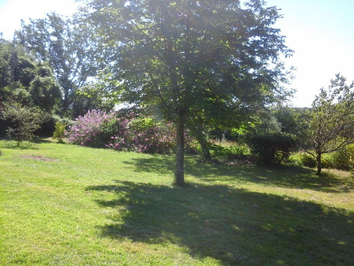 Homestay La Maison Bleue